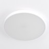 CL724105G0 Citilux Купер Потолочный светодиодный светильник RGB с пультом 105W, 60см