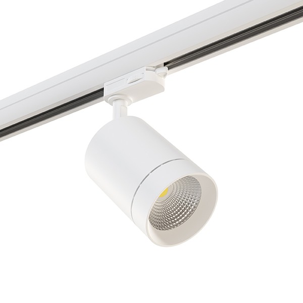 301562 LightStar Трековый светильник CANNO