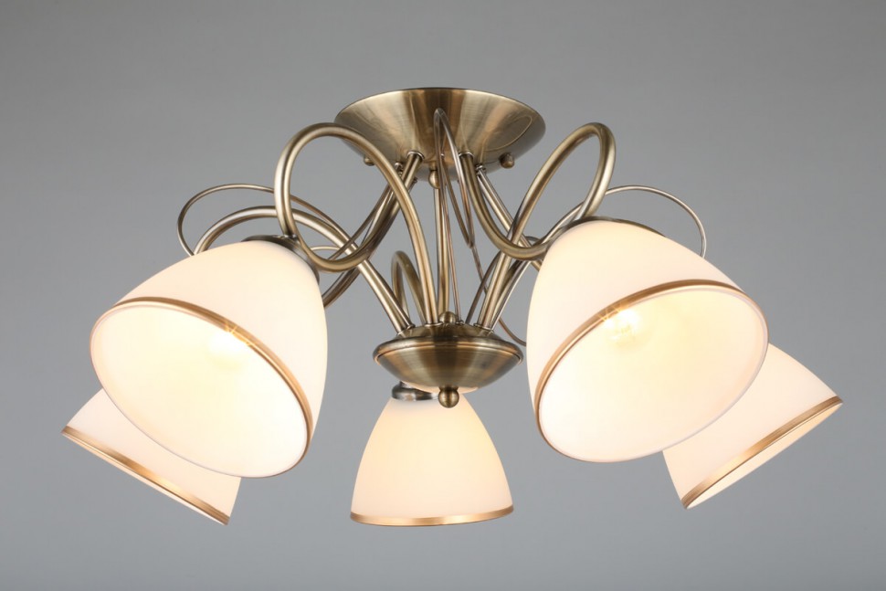 OML-25307-05 OMNILUX потолочная люстра Alimini