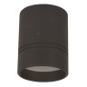 DL18481/WW-Black R DONOLUX Потолочный светильник