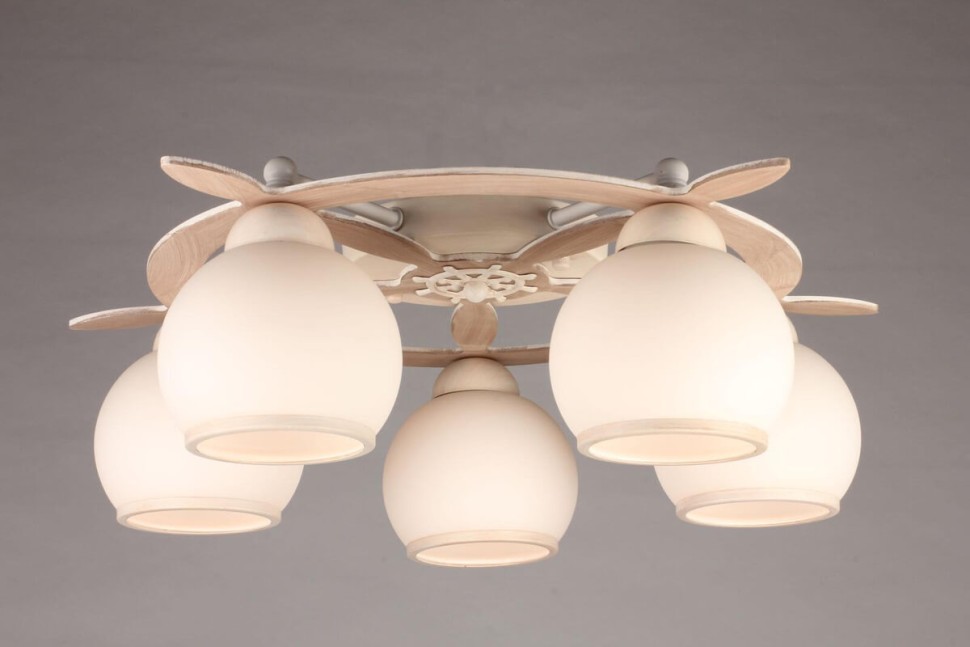 OML-50517-05 Omnilux Потолочный светильник Штурвал