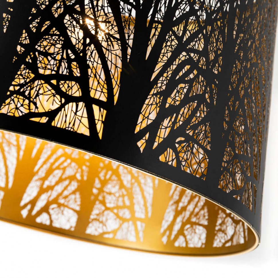 A2769SP-1BK Arte Lamp Подвесной светильник Celesta 