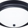 A4049PL-3BK Arte Lamp потолочный светильник James, черный, 37см, Е27*3*40W
