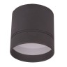 DL18484/WW-Black R DONOLUX Потолочный светильник