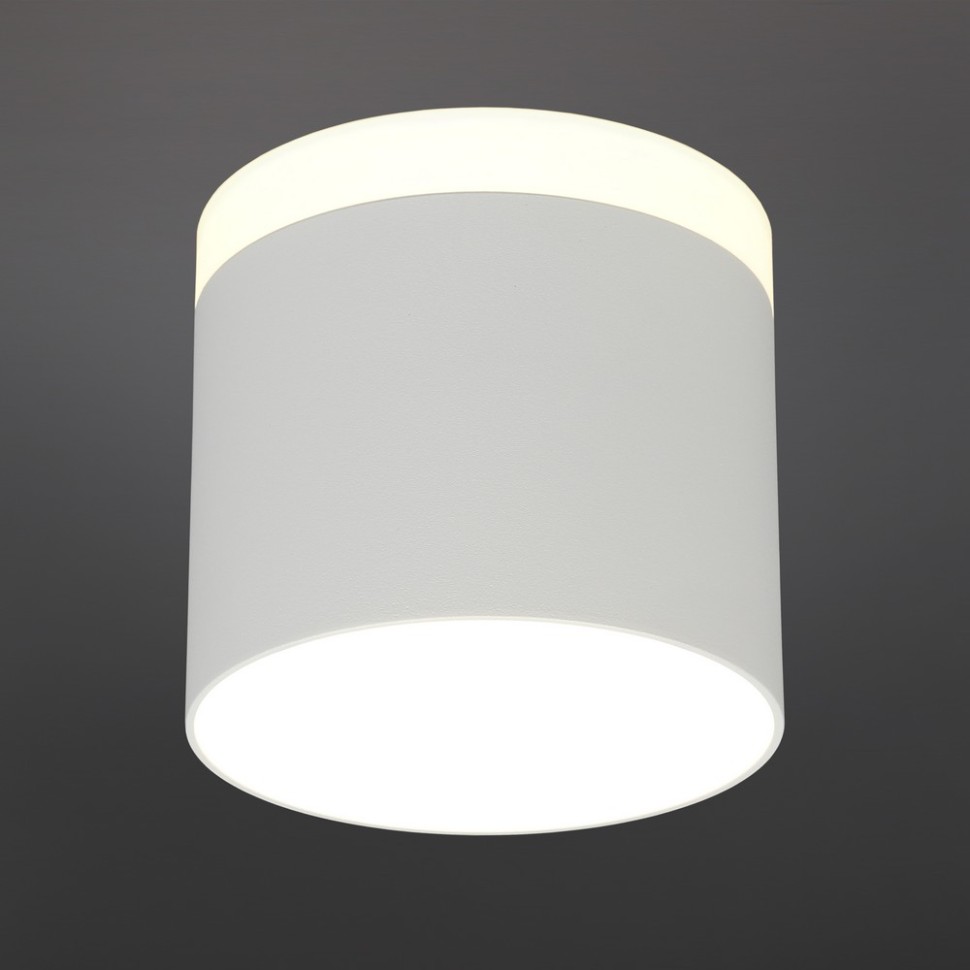 OML-102309-16 OMNILUX белый накладной светодиодный светильник Tures, 12W+4W, 4000K