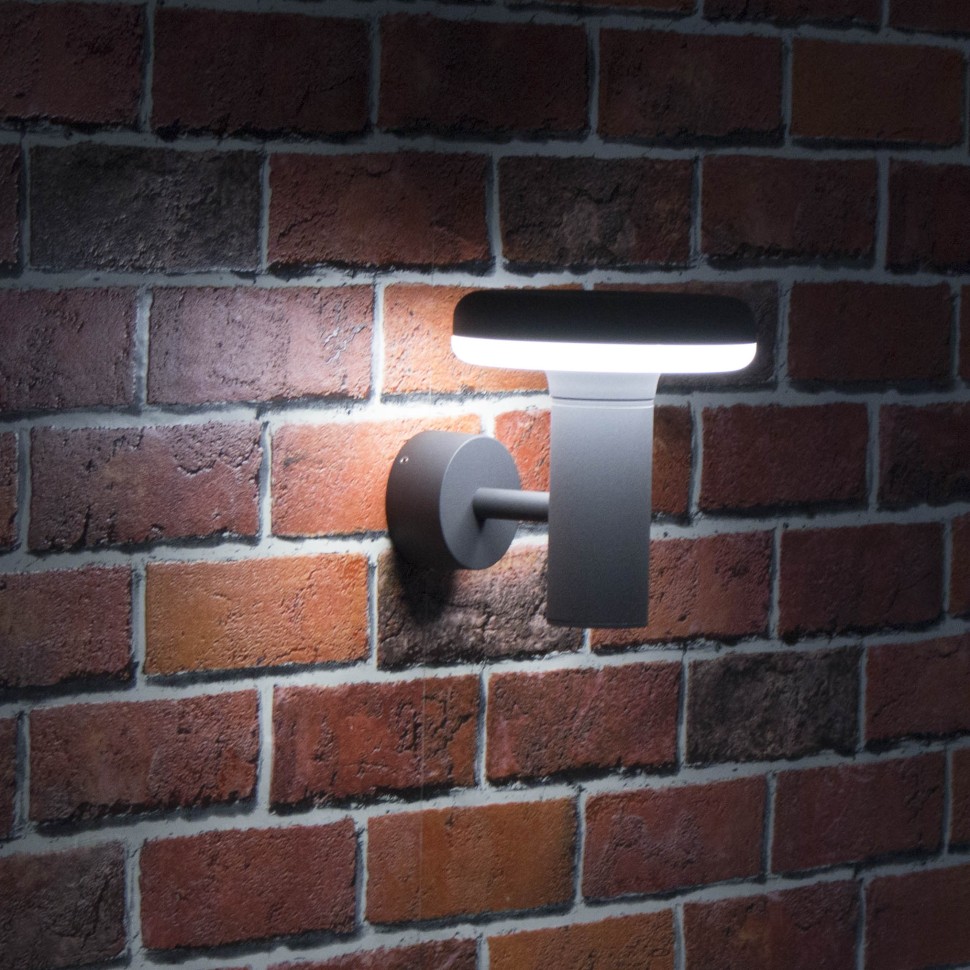 CLU01W Citilux Уличный настенный светильник Гарденлайт