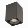 DL18611/01WW-SQ Shiny black DONOLUX Потолочный светильник