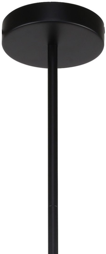 3088-10P F-Promo потолочная люстра на штанге Sheeny