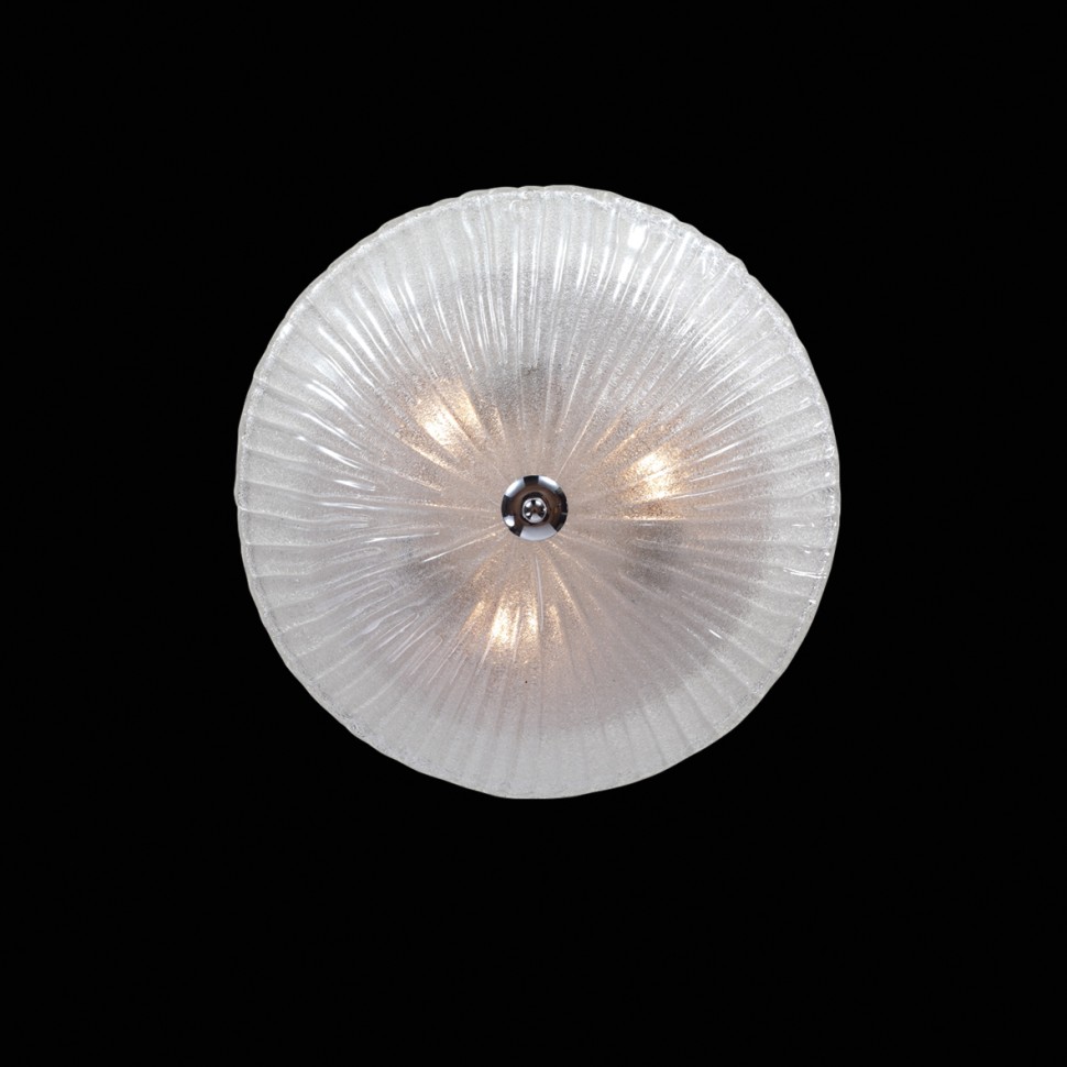 820830v_.jpg