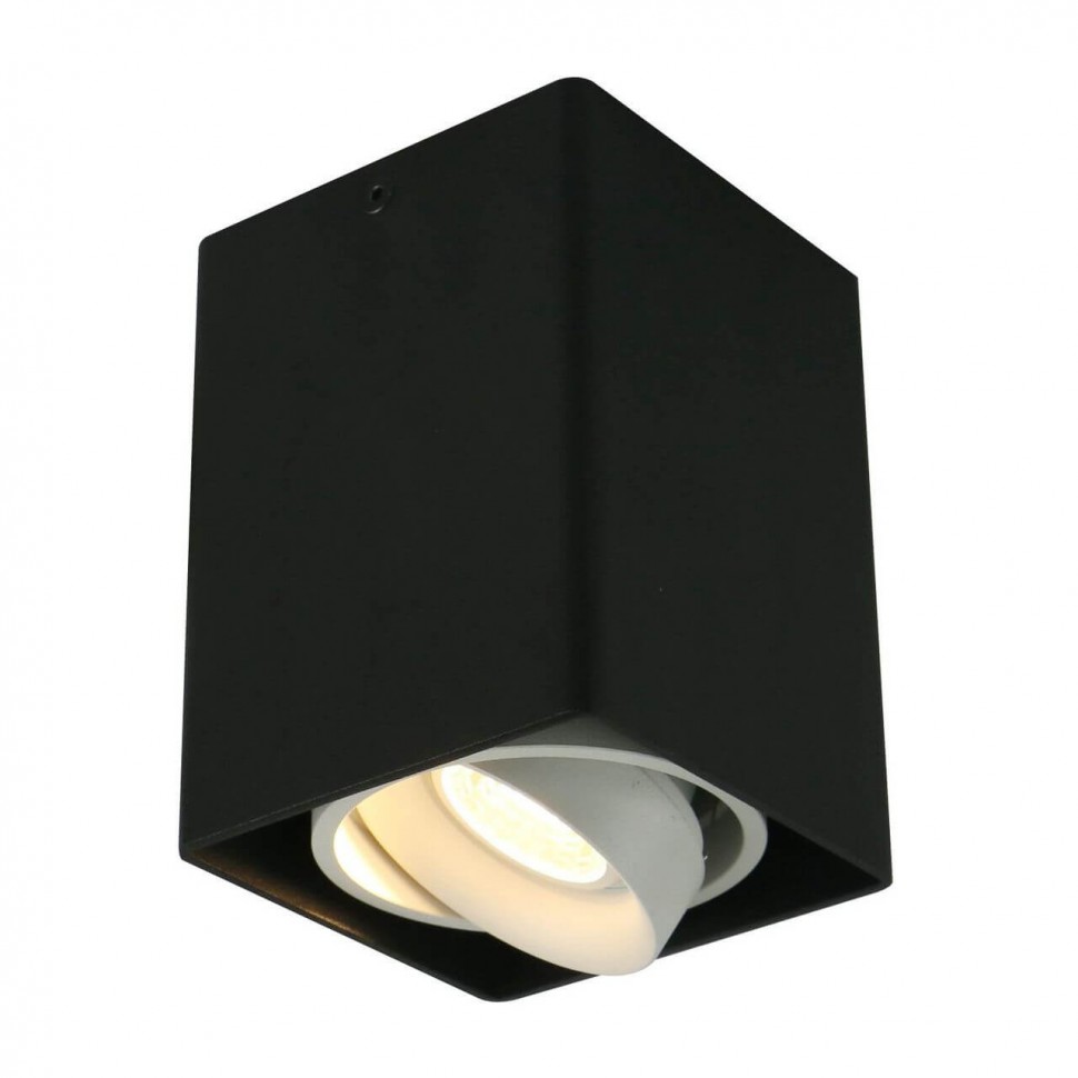 A5655PL-1BK Arte Lamp Потолочный светильник PICTOR
