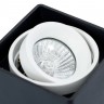 A5655PL-1BK Arte Lamp Потолочный светильник PICTOR