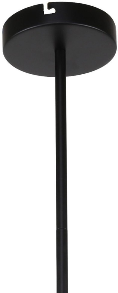 3088-8P F-Promo потолочная люстра на штанге Sheeny