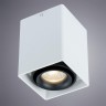 A5655PL-1WH Arte Lamp Потолочный светильник PICTOR