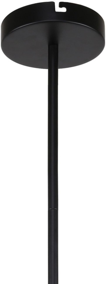 3088-6P F-Promo потолочная люстра на штанге Sheeny