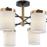 A4099PL-8BK ARTE LAMP Modello потолочная люстра E14*8*40W, 82см диаметр