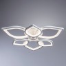 A2531PL-6WH ARTE LAMP Polli потолочная светодиодная люстра с пультом