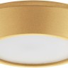 214732 Lightstar Накладной светильник URBANO MINI, IP65, 8W, 3000K, золото