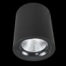 A5130PL-1BK Arte Lamp Потолочный светильник FACILE