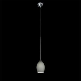 807111 Lightstar Подвесной светильник META D'UOVO 								