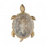 2254-1W Favourite Настенный светильник Turtle 
