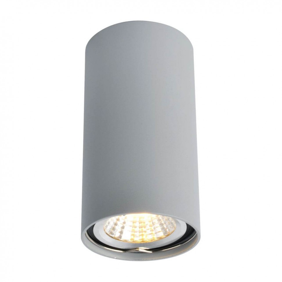 A1516PL-1GY Arte Lamp Потолочный светильник UNIX