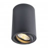 A1560PL-1BK Arte Lamp Потолочный светильник SENTRY