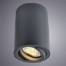 A1560PL-1BK Arte Lamp Потолочный светильник SENTRY