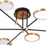 A1364PL-6PB ARTE LAMP светодиодная люстра на штанге Holly с пультом 60W, 3000-6400K, черный, медь