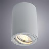A1560PL-1GY Arte Lamp Потолочный светильник SENTRY