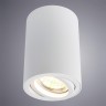A1560PL-1WH Arte Lamp Потолочный светильник SENTRY