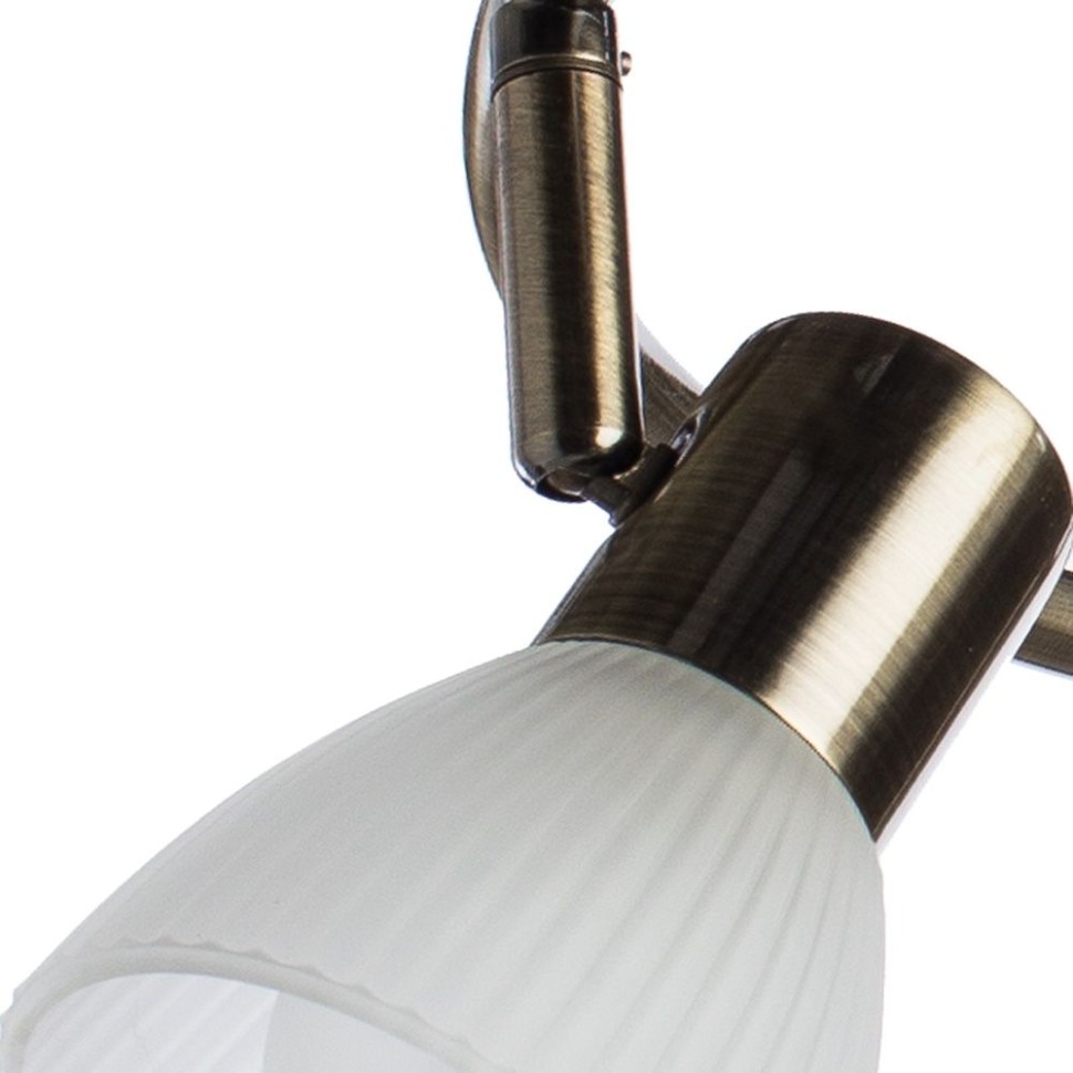 A5062PL-3AB Arte Lamp Спот Parry E14*3*40W