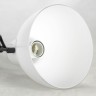 LSP-8539 LUSSOLE Loft настенный светильник