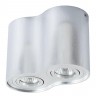 A5644PL-2SI Arte Lamp Потолочный светильник FALCON