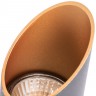 A1535PL-1BK Arte Lamp Потолочный светильник Pilon-Gold 