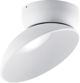 DL18429/11WW-White C DONOLUX Потолочный светильник