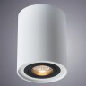 A5644PL-1WH Arte Lamp Потолочный светильник FALCON