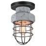 LSP-9701 Lussole Потолочный светильник Loft