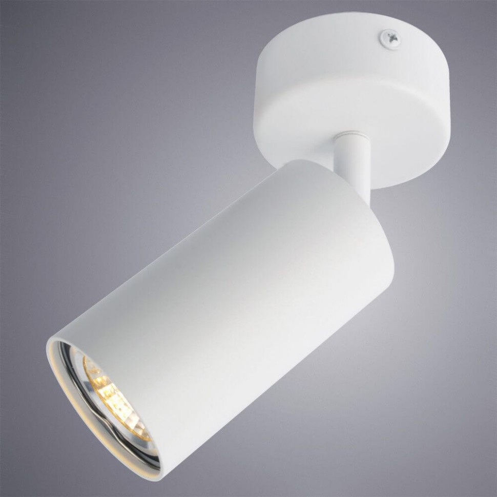 A3216PL-1WH Arte Lamp Потолочный светильник AQUARIUS