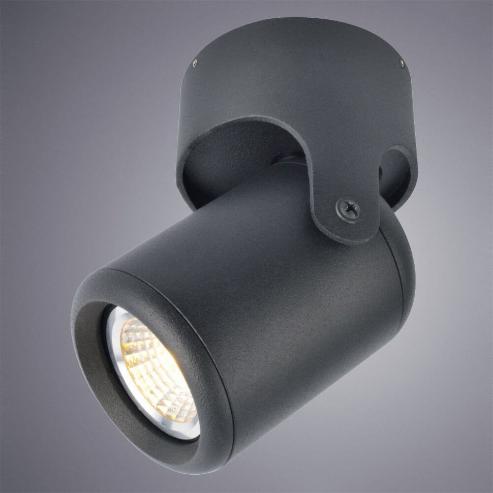 A3316PL-1BK Arte Lamp Потолочный светильник LIBRA