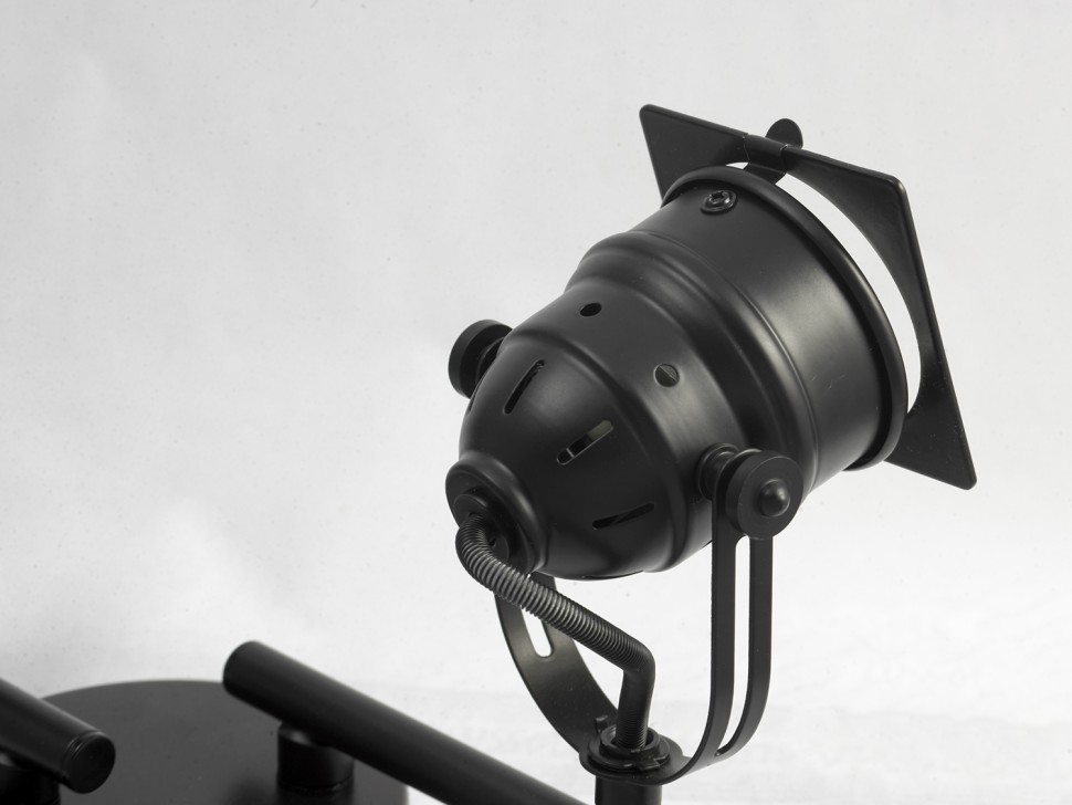 LSP-9119 Lussole Спот Лофт