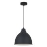 A2055SP-1BK Arte Lamp Подвесной светильник Casato черный