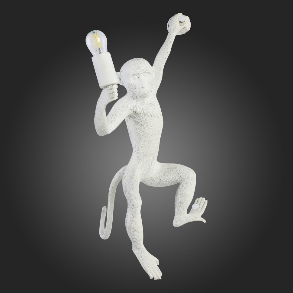 SLE115111-01 EVOLUCE белый настенный светильник Tenato, обезьяна