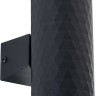 A3458AL-2BK ARTE LAMP черная архитектурная подсветка Hyadum IP54, GU10*2*35W
