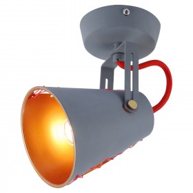 LSP-8020 Lussole Настенно-потолочный  светильник с стиле лофт