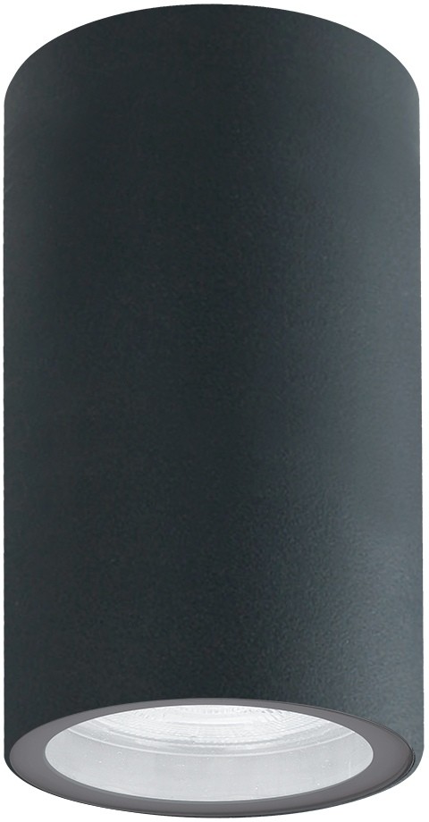 A3302PF-1GY ARTE LAMP Mistero серый потолочный уличный светильник IP65, GU10*1*35W