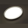 Настенно-потолочный светильник Sonex 7631/DL SAVI, 48W, IP43, с пультом 3000-4200-6300, 4200Lm, 39см