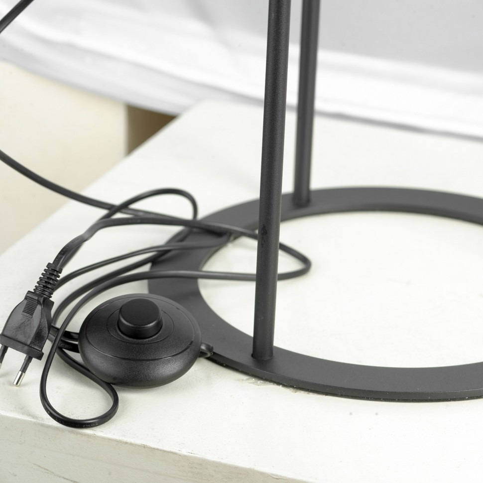 LSP-0600 LUSSOLE LGO торшер Лофт