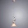 A1133SP-1WG Arte Lamp Подвесной светильник Amur 