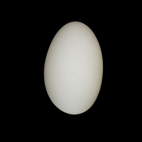 801600 LightStar Бра SFERETTA