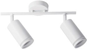 A2365PL-2WH ARTE LAMP спот белый настенно-потолочный светильник Imai GU10*2*15W